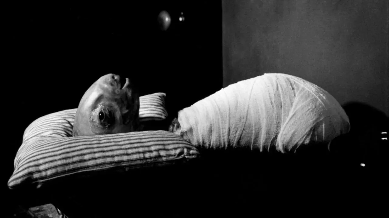 Watch Eraserhead