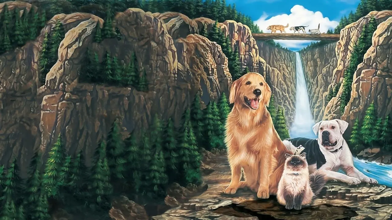 Watch Homeward Bound: The Incredible Journey