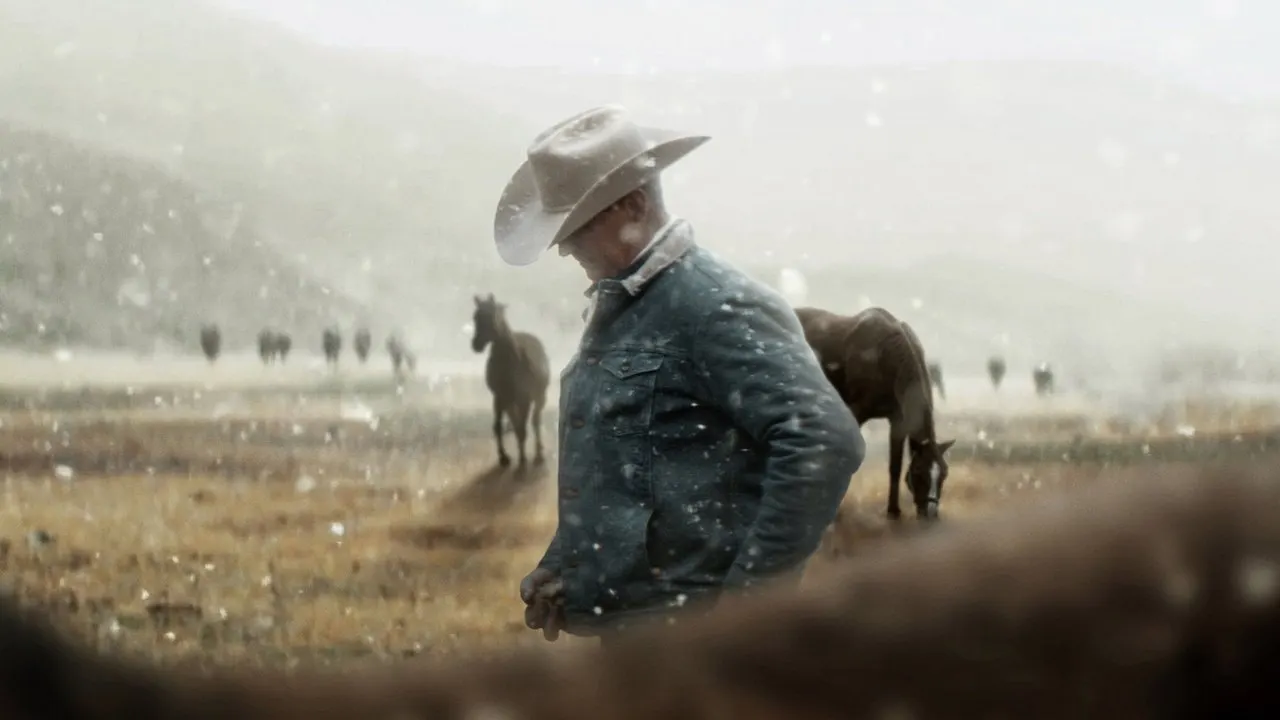 Watch My Heroes Were Cowboys