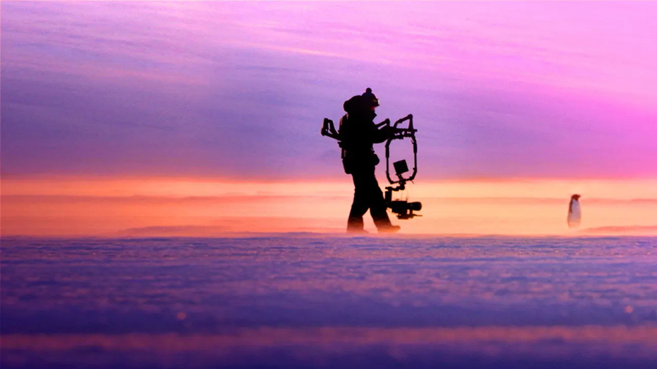 Watch Penguins: Life on the Edge