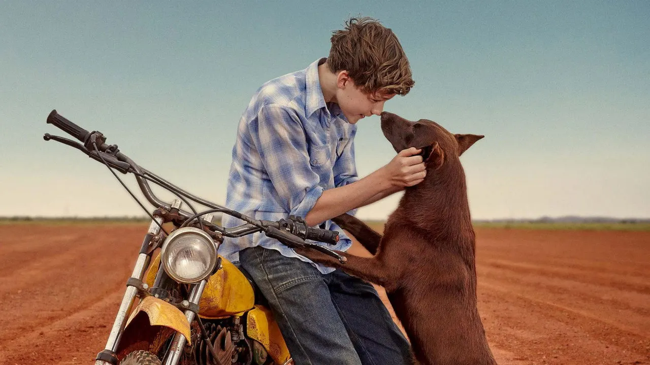 Watch Red Dog: True Blue