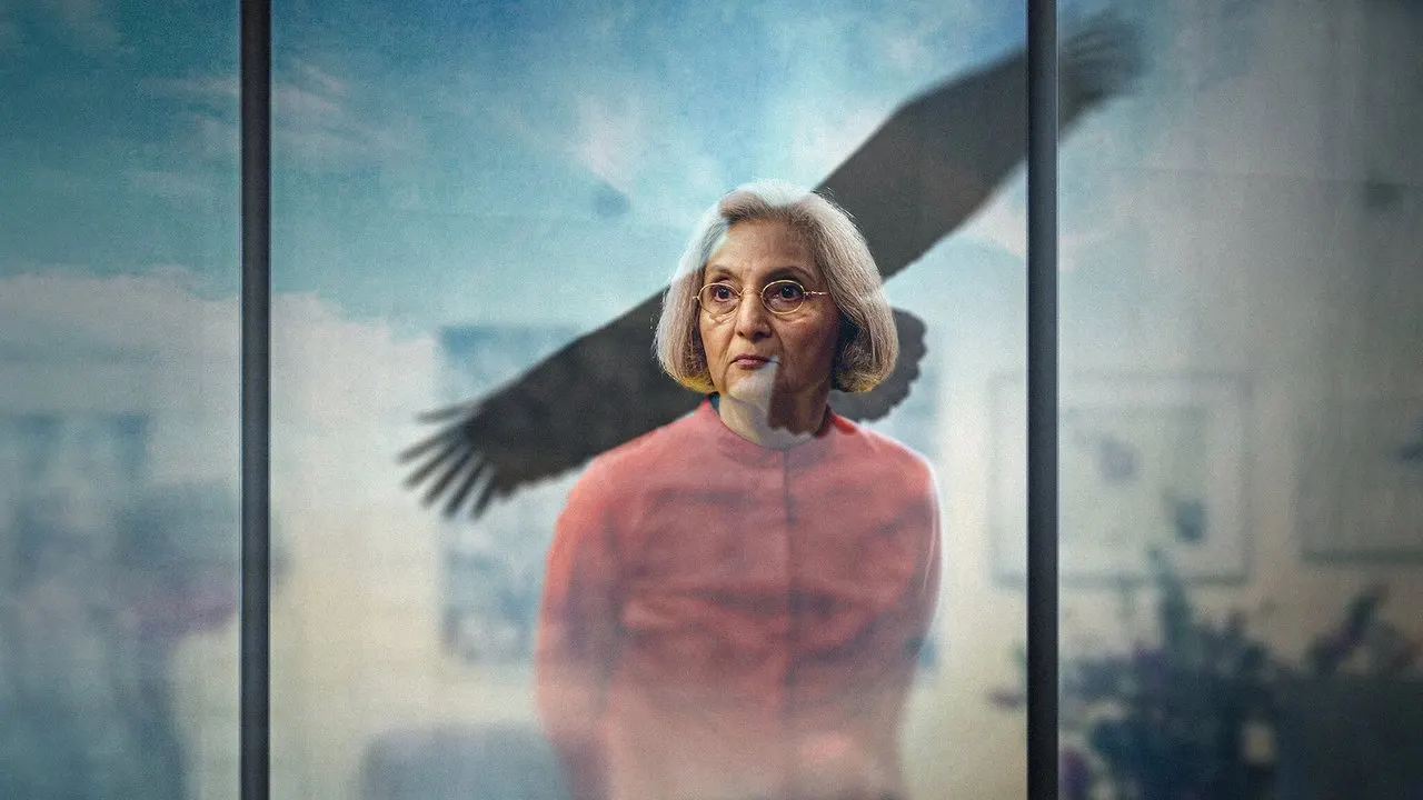 Watch Searching for Sheela