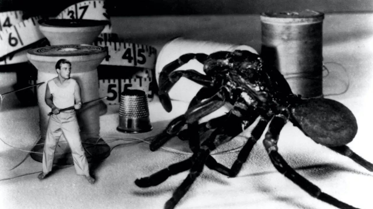 Watch The Incredible Shrinking Man