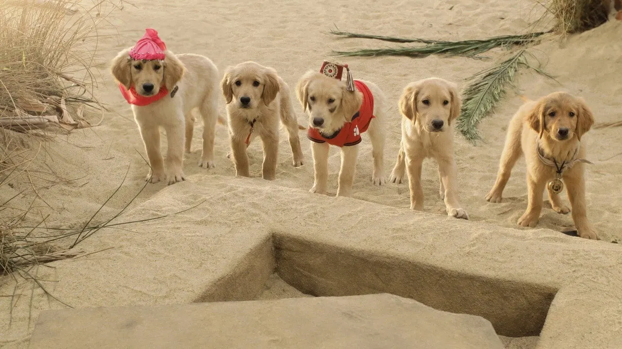 Watch Treasure Buddies