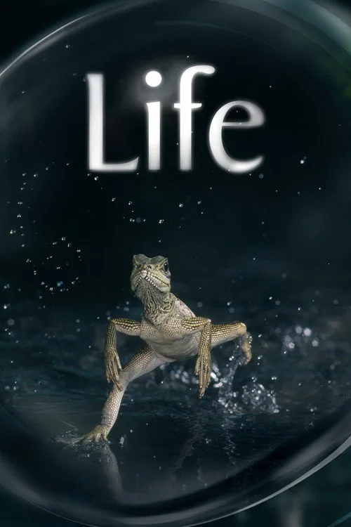 Life poster